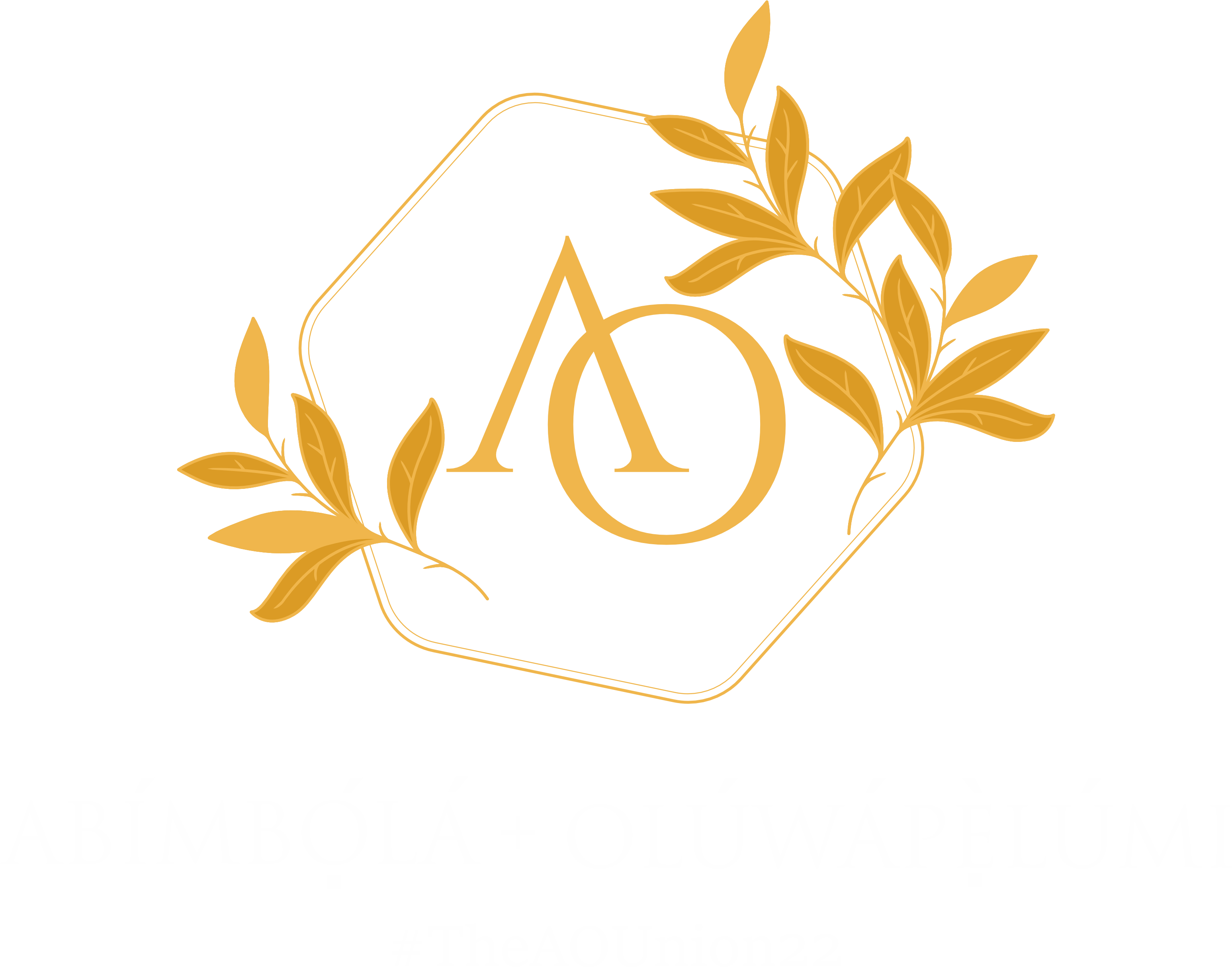 Home - Abimbola & Oluwapelumi - #TheAOUnion22